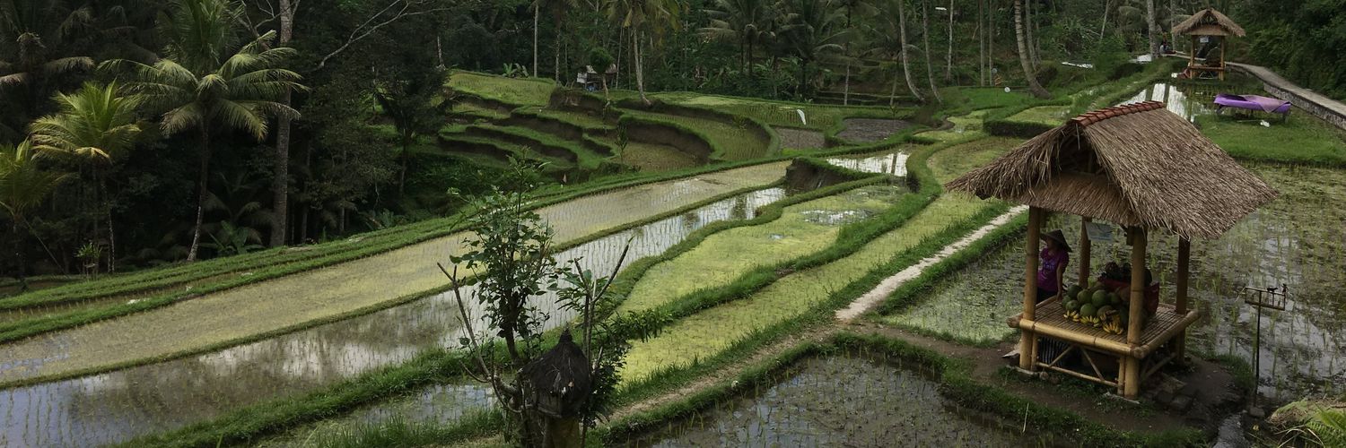 RamahiLayan's profile banner image