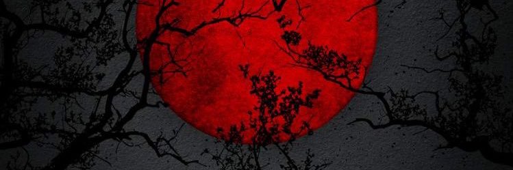 ballerh0lic's profile banner image
