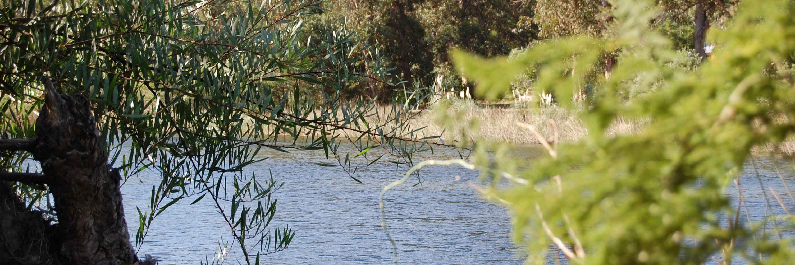 GabNavia's profile banner image