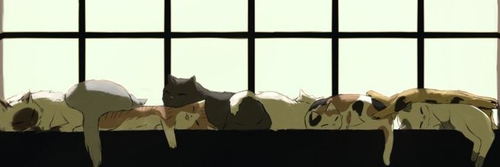 kazookmyd's profile banner image