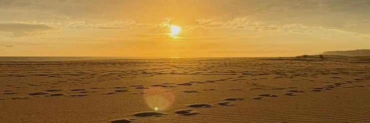 xkevd's profile banner image