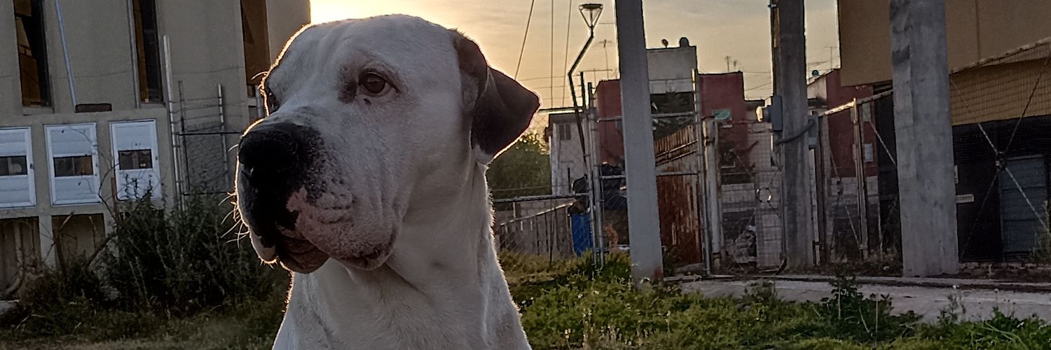 ramonrivas1981's profile banner image