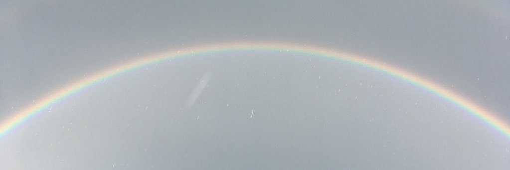 avrildeane's profile banner image