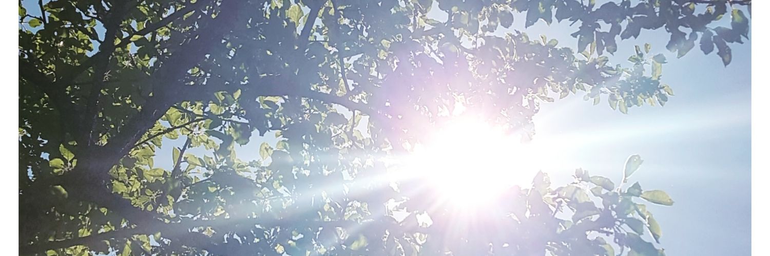 Marion_nrmd's profile banner image