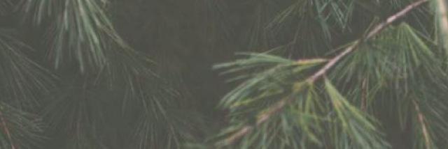 5SOSFamSmile's profile banner image