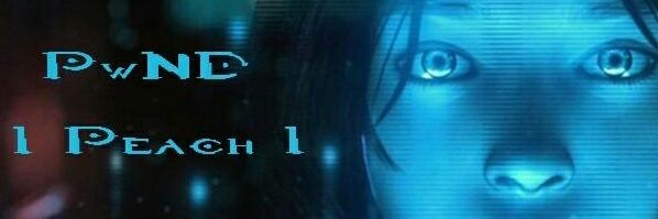UltimatePeach30's profile banner image
