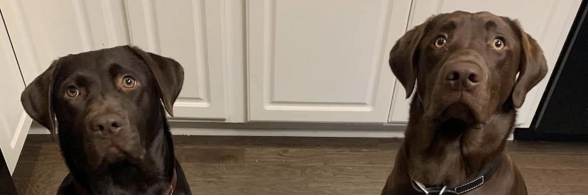 ToriTadlock's profile banner image