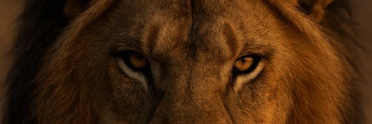 tockaaou's profile banner image