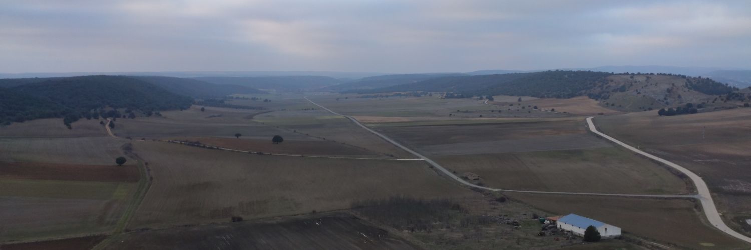 Numantino01's profile banner image
