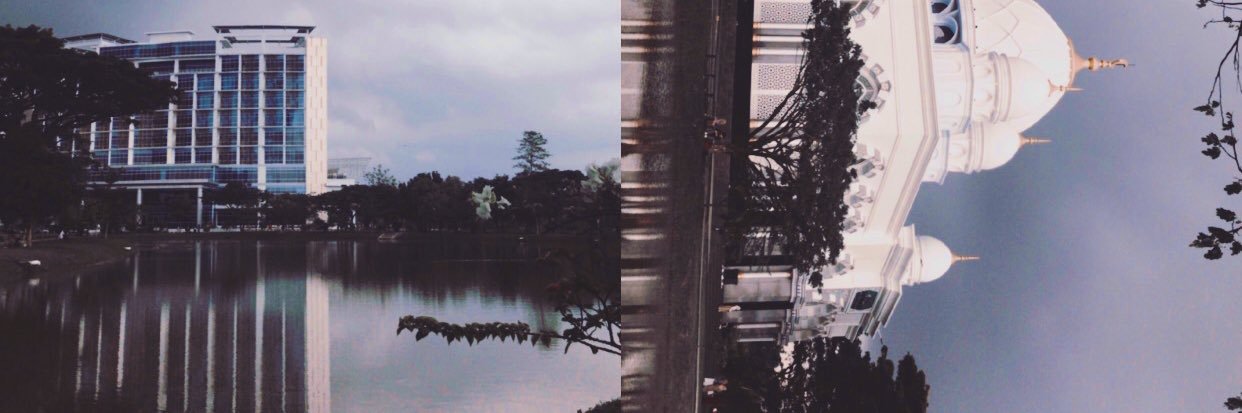 agarigif_'s profile banner image