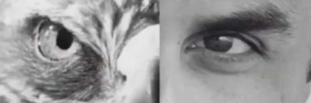 shAlmannai's profile banner image