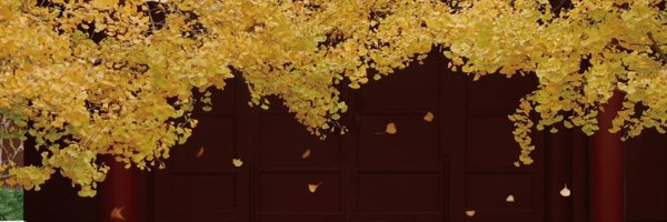 madeIiva Profile Banner