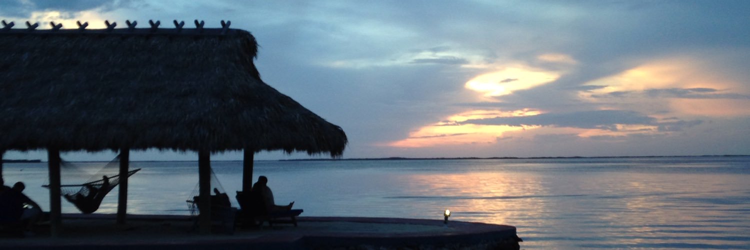 Steven Schoon banner