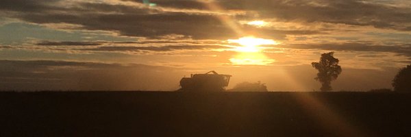 timyoung82 Profile Banner