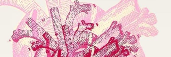 YiyiszRa's profile banner image