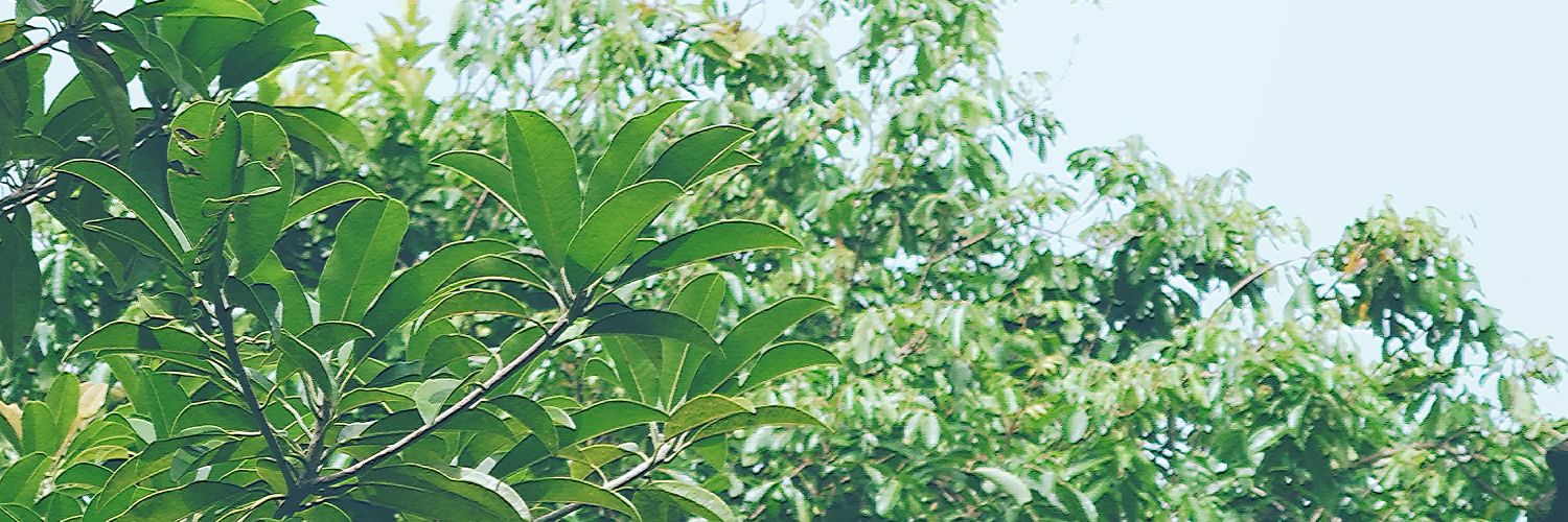 ansori_aaa's profile banner image