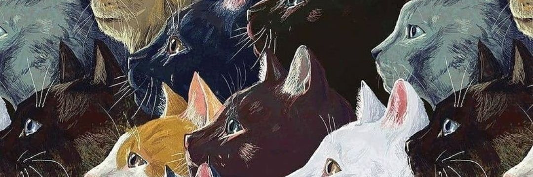 DemodeGecko's profile banner image