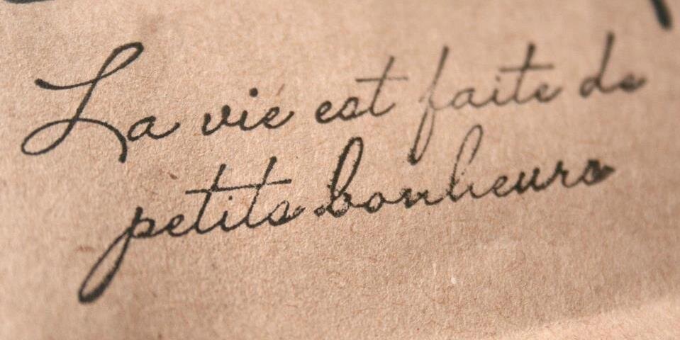 Els Schepers banner