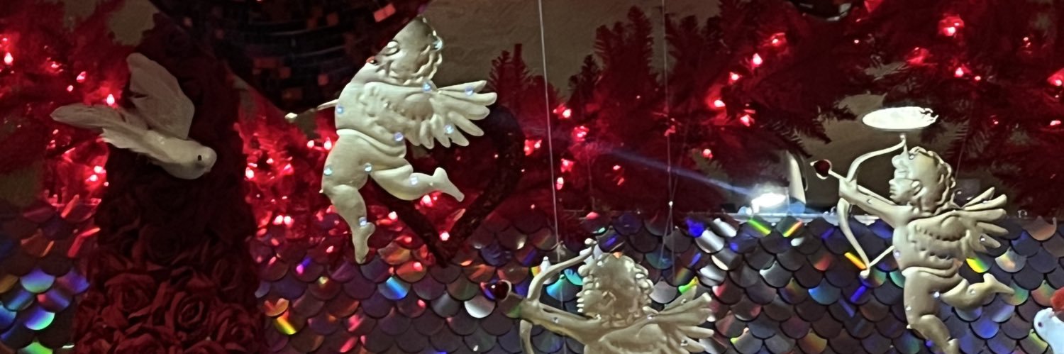 drgnbrd's profile banner image
