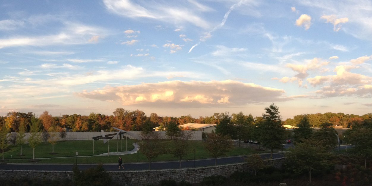 TJ Florence MD PhD banner