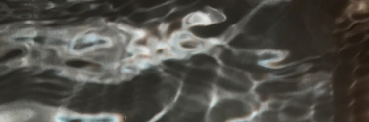 skylarDlynn's profile banner image