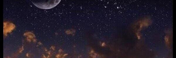 lagartijasking's profile banner image