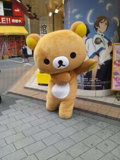 minttokko's profile banner image