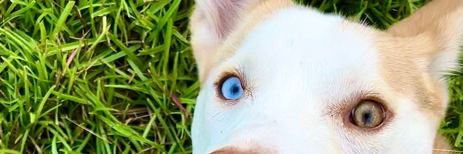 dave2barnes's profile banner image