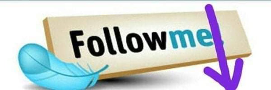 LilamaniNeupane's profile banner image