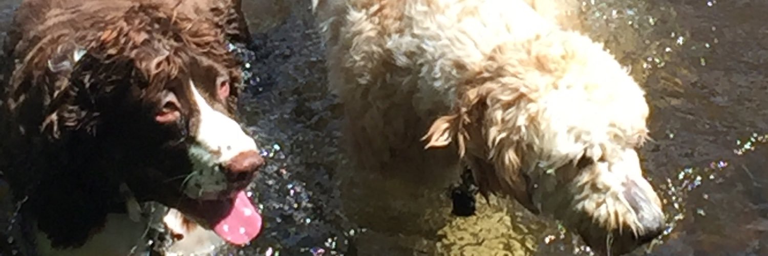 sonnystrut's profile banner image