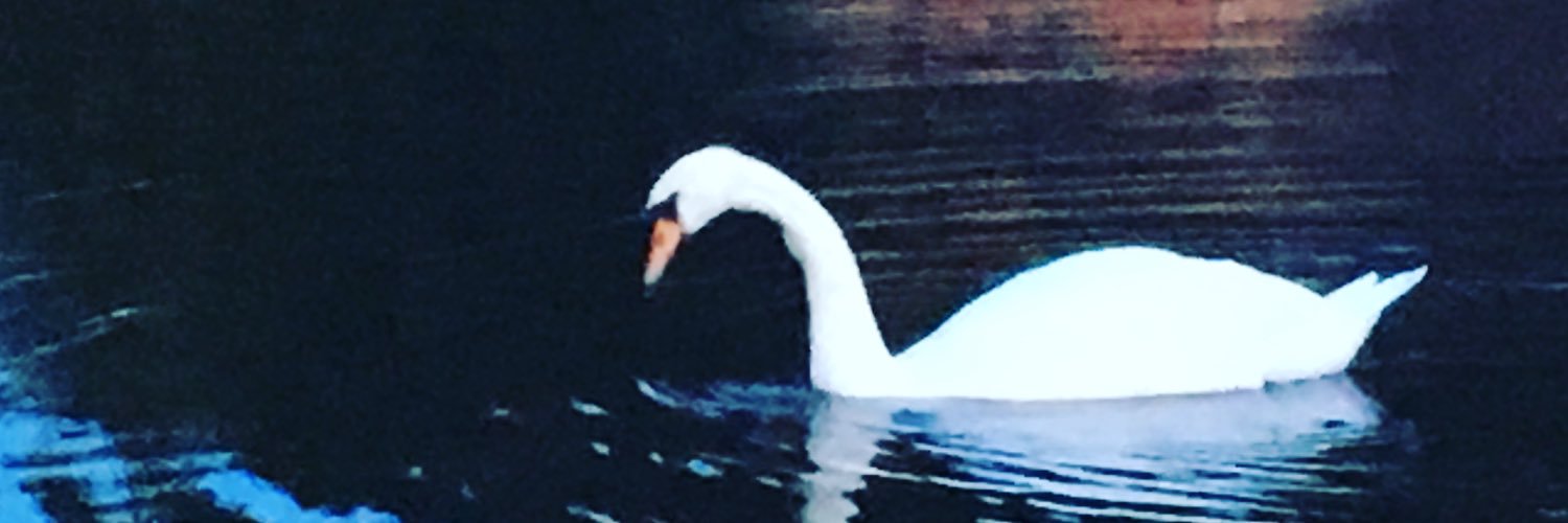 Hannah Warren-Green banner