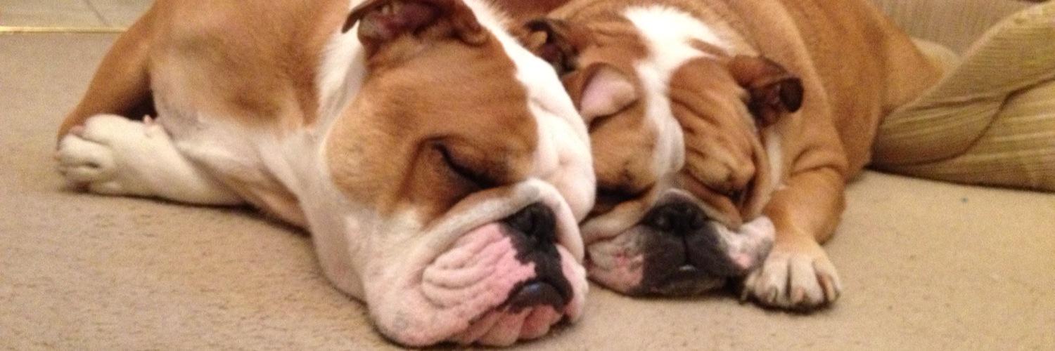 KiraTylerBully's profile banner image
