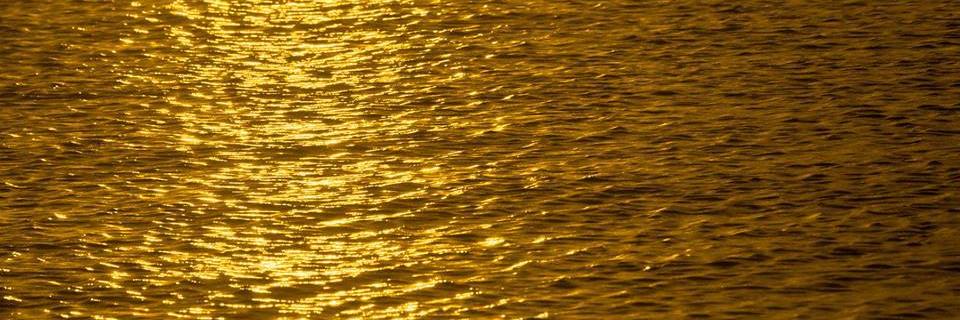 PiterWalther00's profile banner image