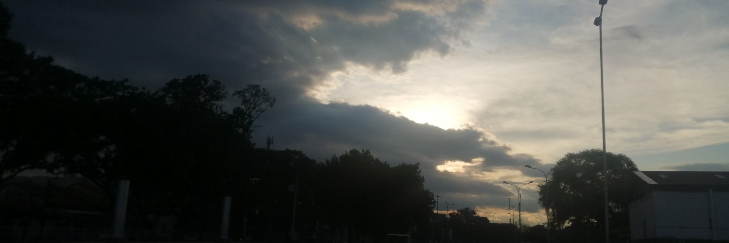 aecaleon's profile banner image