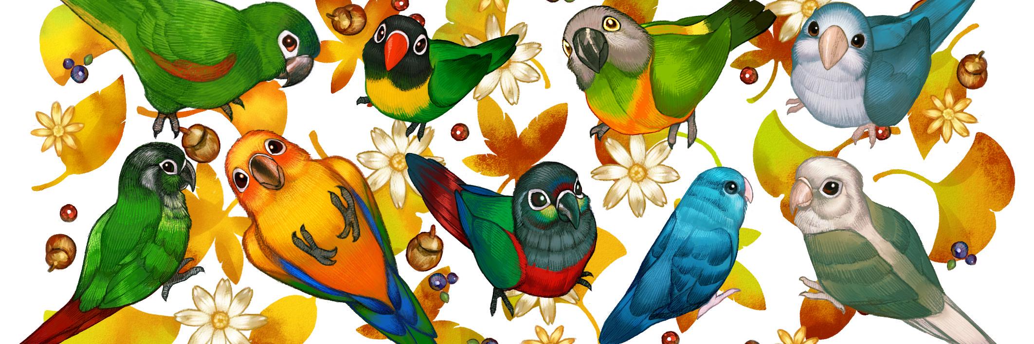 aengmuruk's profile banner image