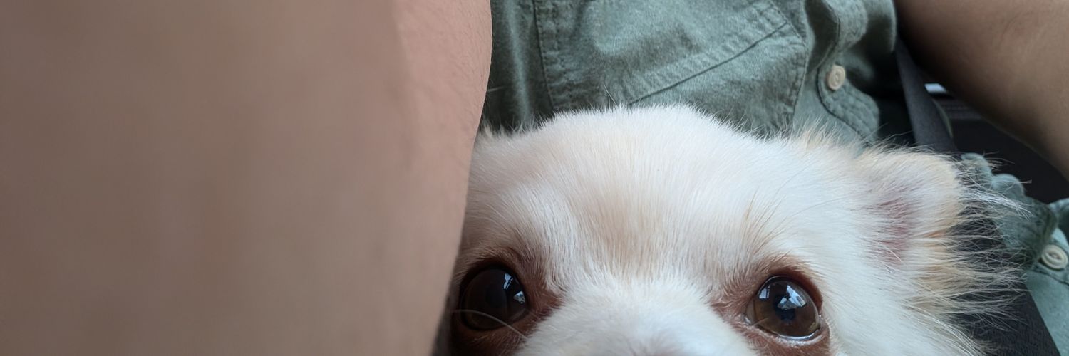 eOrellaDesign's profile banner image