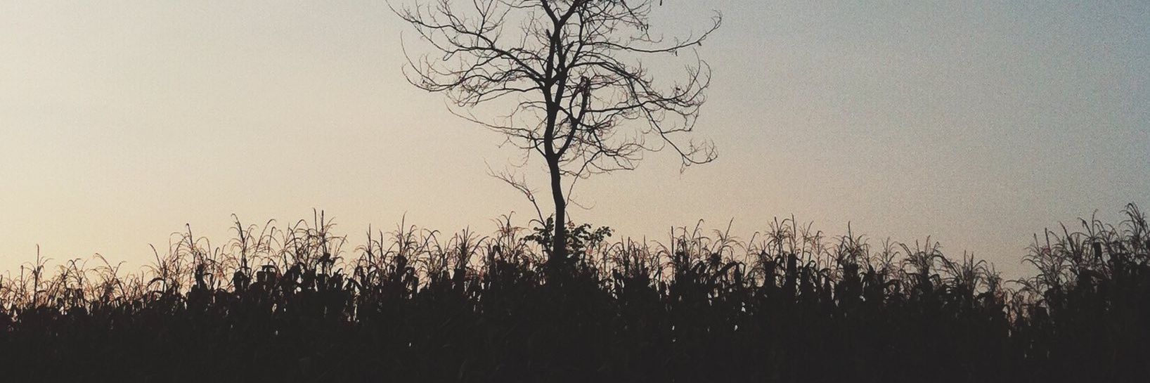 SamudraBilly's profile banner image