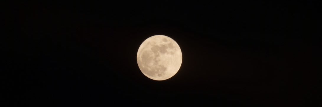 castle_BoBo_'s profile banner image