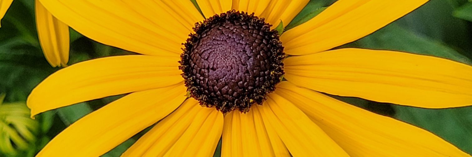 rienvankeulen's profile banner image