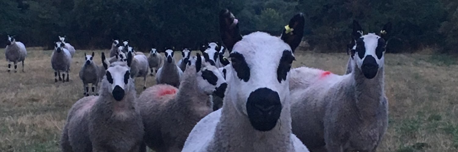 FullardsFarm's profile banner image