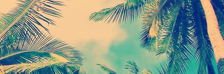 corentinez's profile banner image