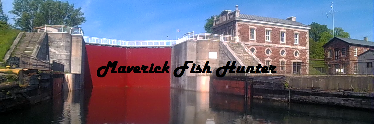 MaverickFH's profile banner image
