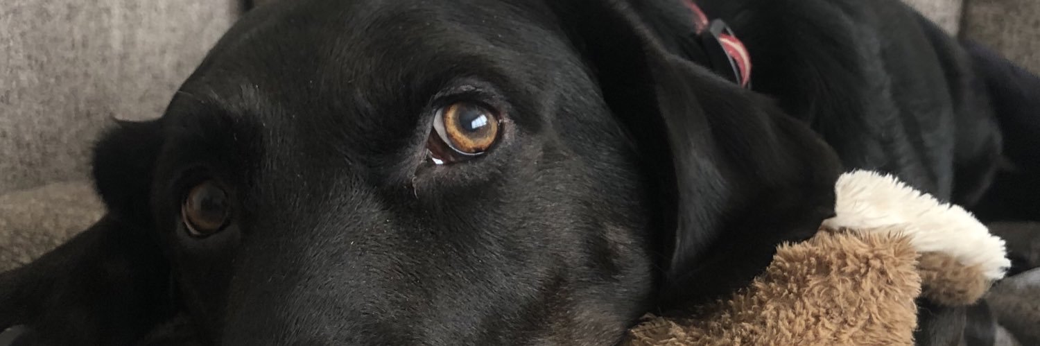 mstacklerrr's profile banner image