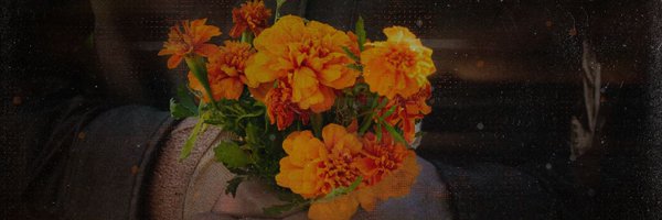 KyleEkstrom4L Profile Banner