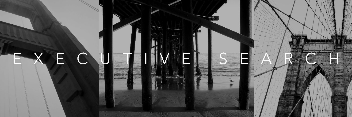 SPMB Executive Search banner