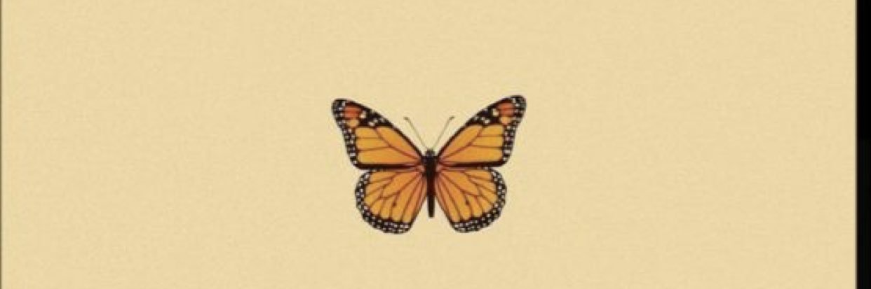 katelyn banner