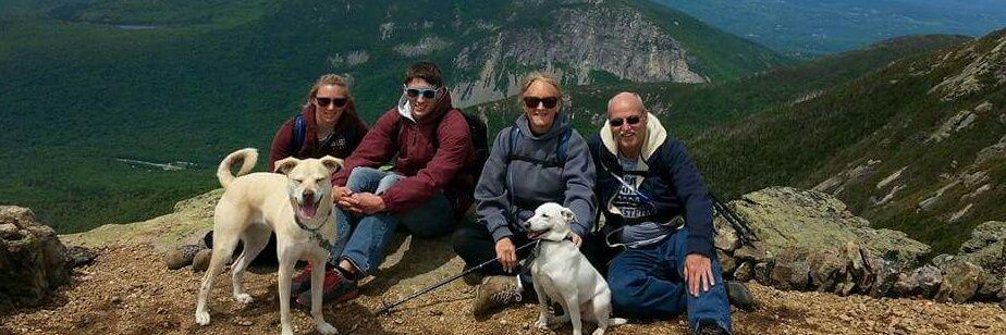 jen1cam's profile banner image