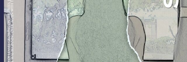 Shirleycas2's profile banner image