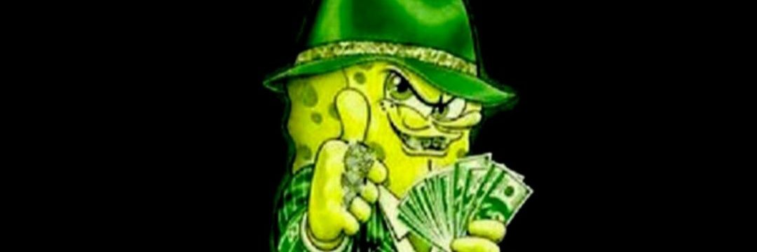 MtsDnn's profile banner image