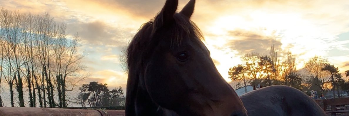 perrineprvt's profile banner image